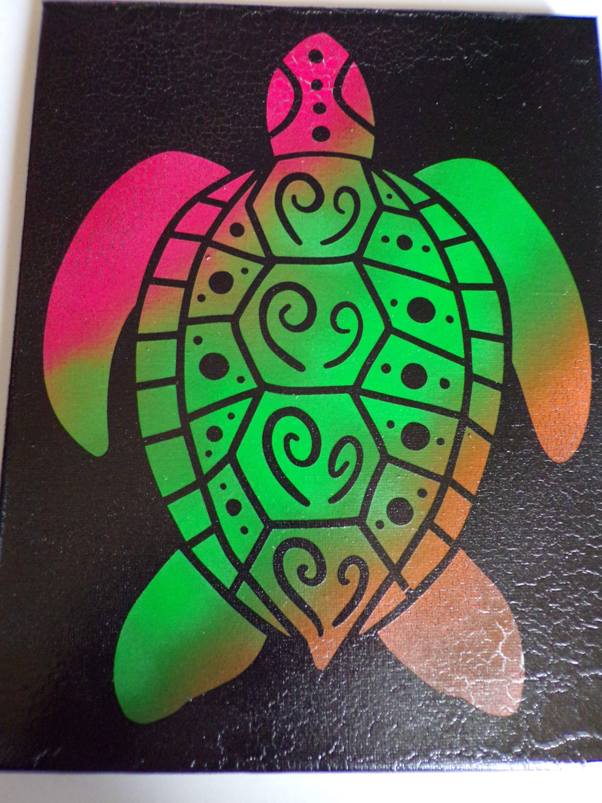 Radiant Reef Turtle Art