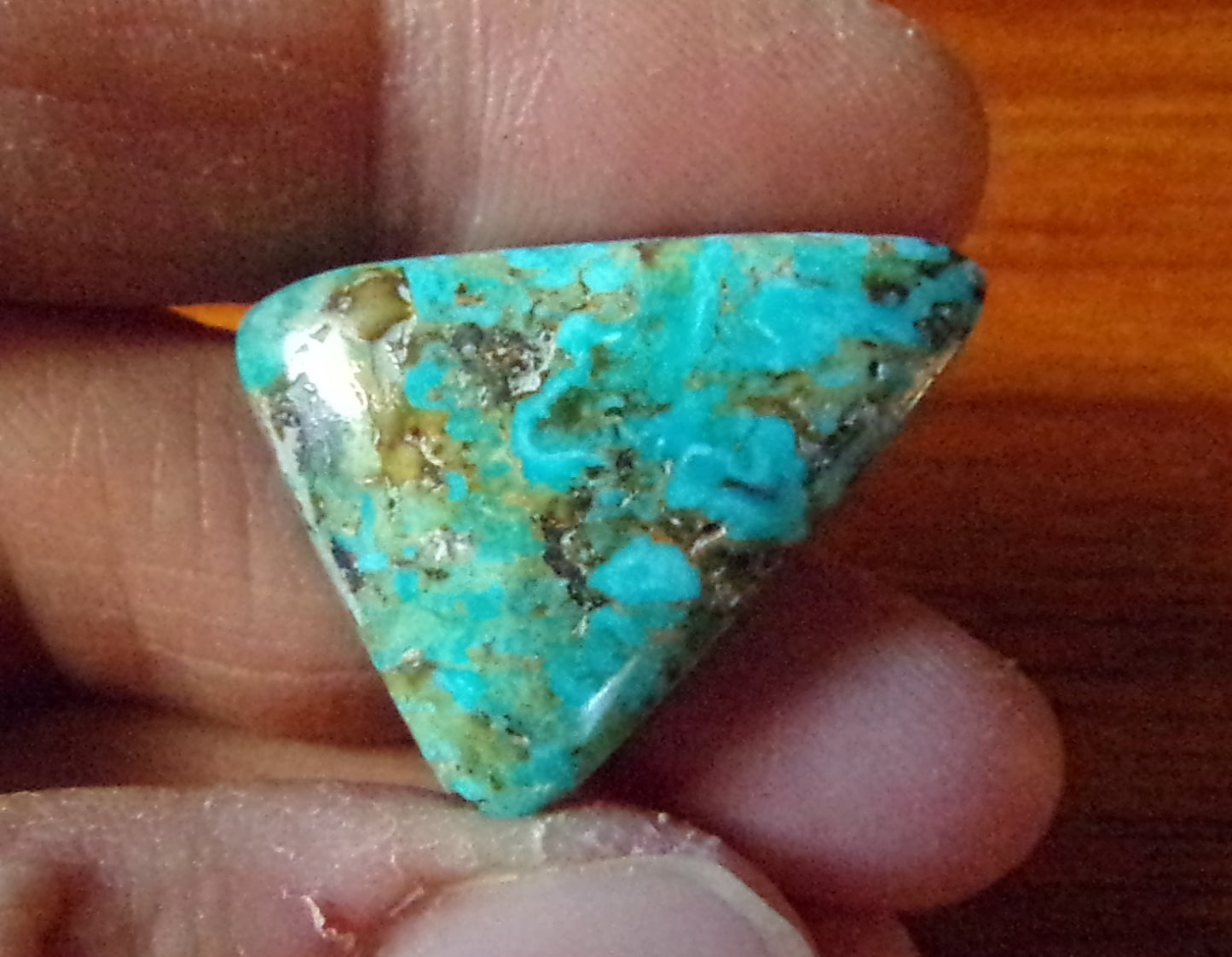 Turquoise Cabochon from Evans mine