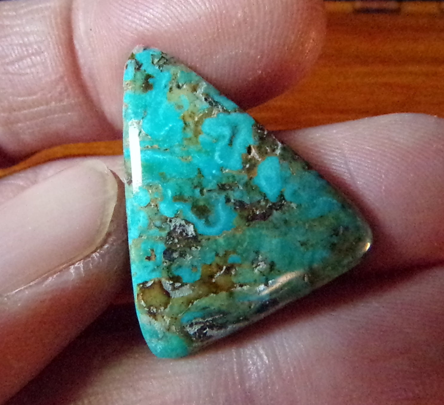 Turquoise Cabochon from Evans mine