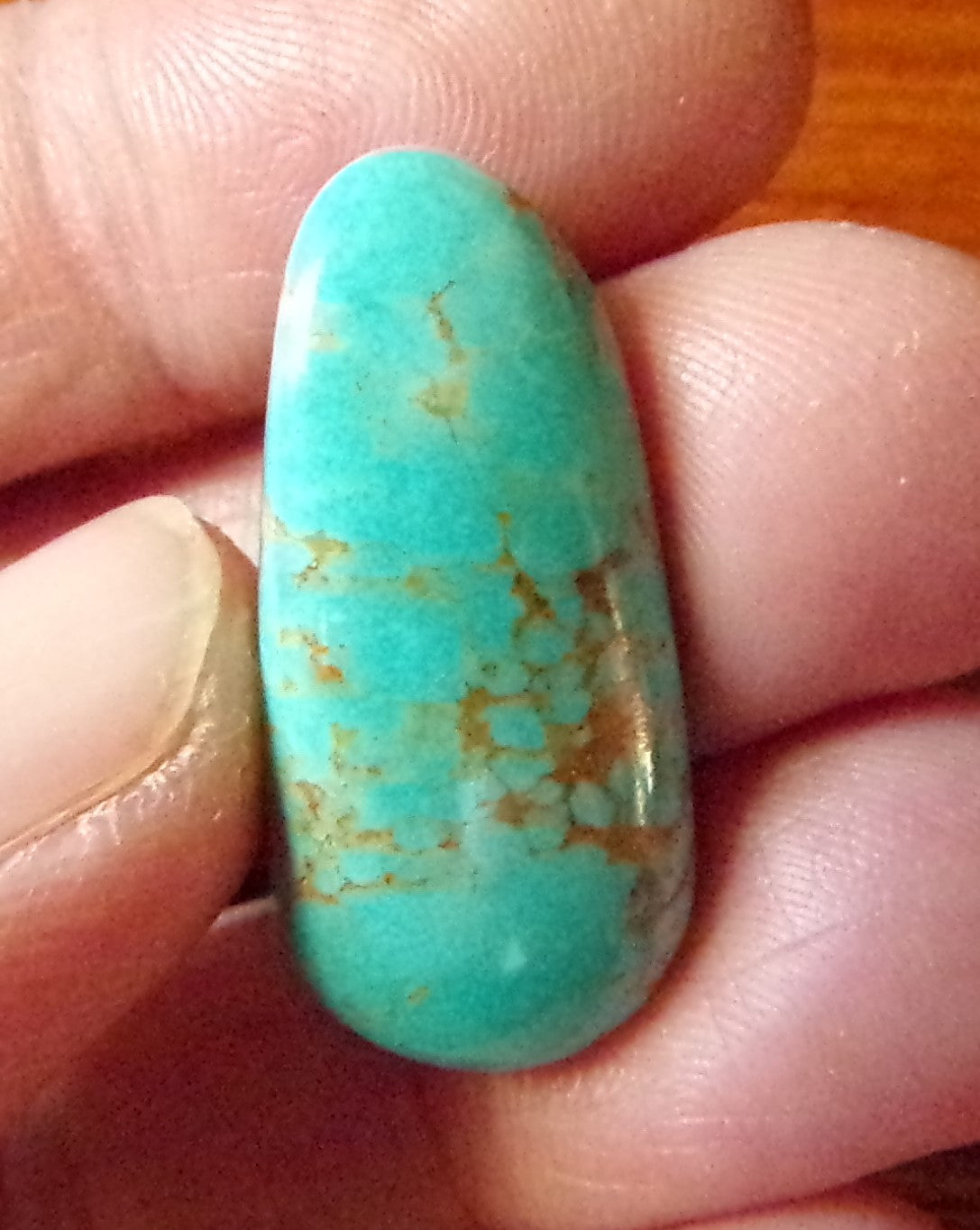 Turquoise Mountain Cabochon