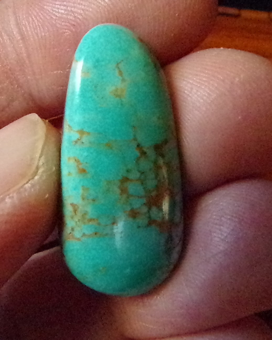 Turquoise Mountain Cabochon