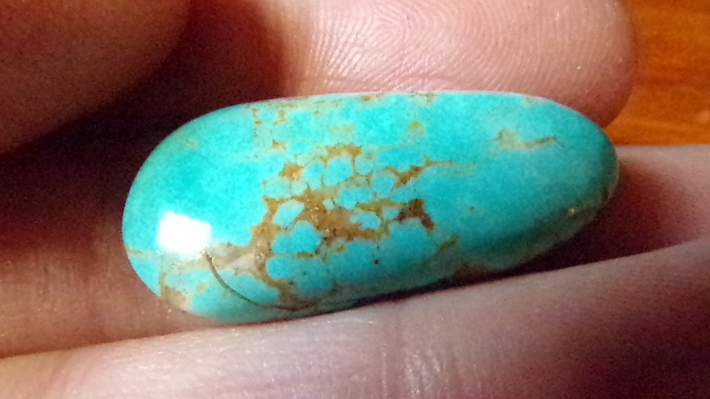 Turquoise Mountain Cabochon