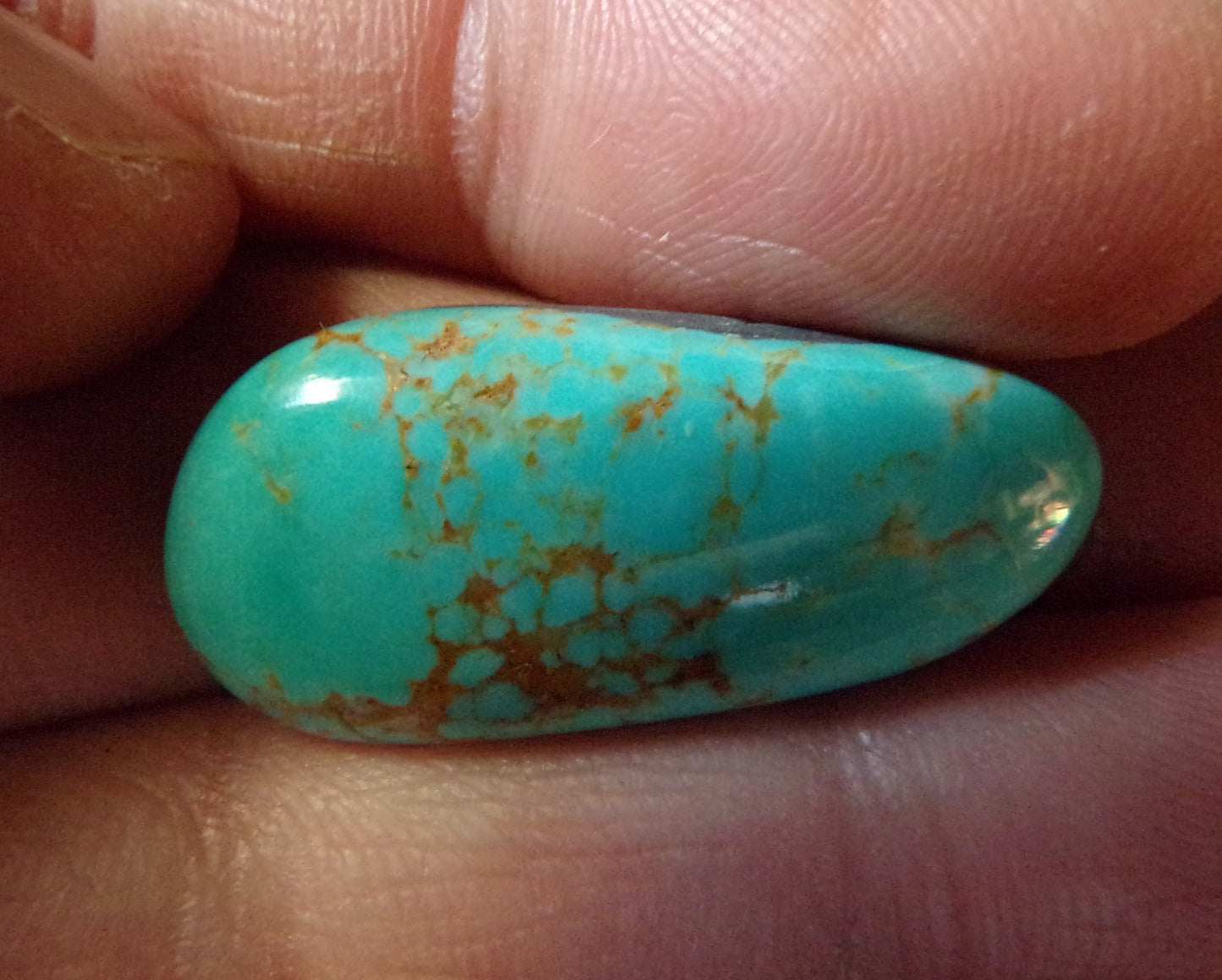 Turquoise Mountain Cabochon