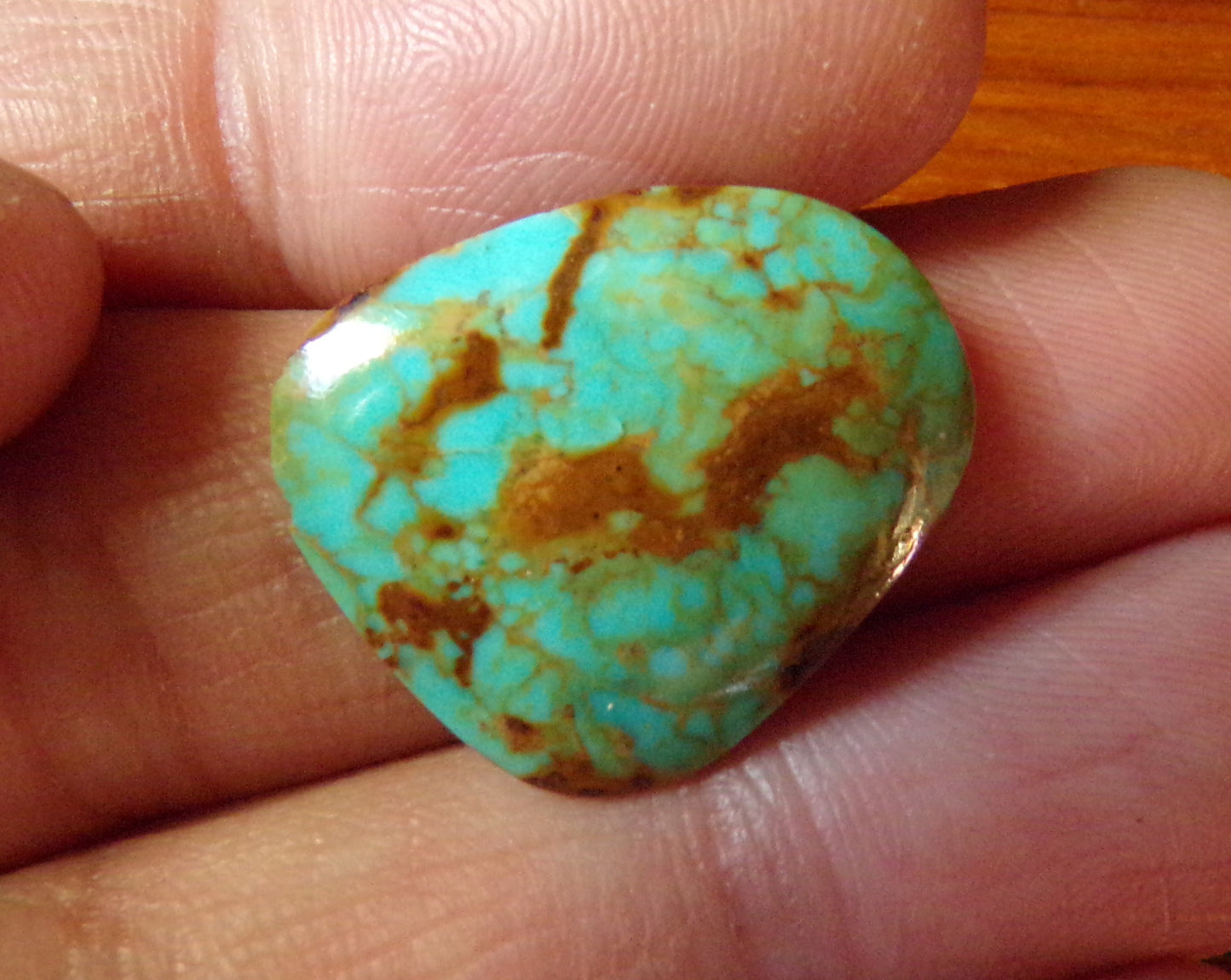 Turquoise Mountain Cabochon