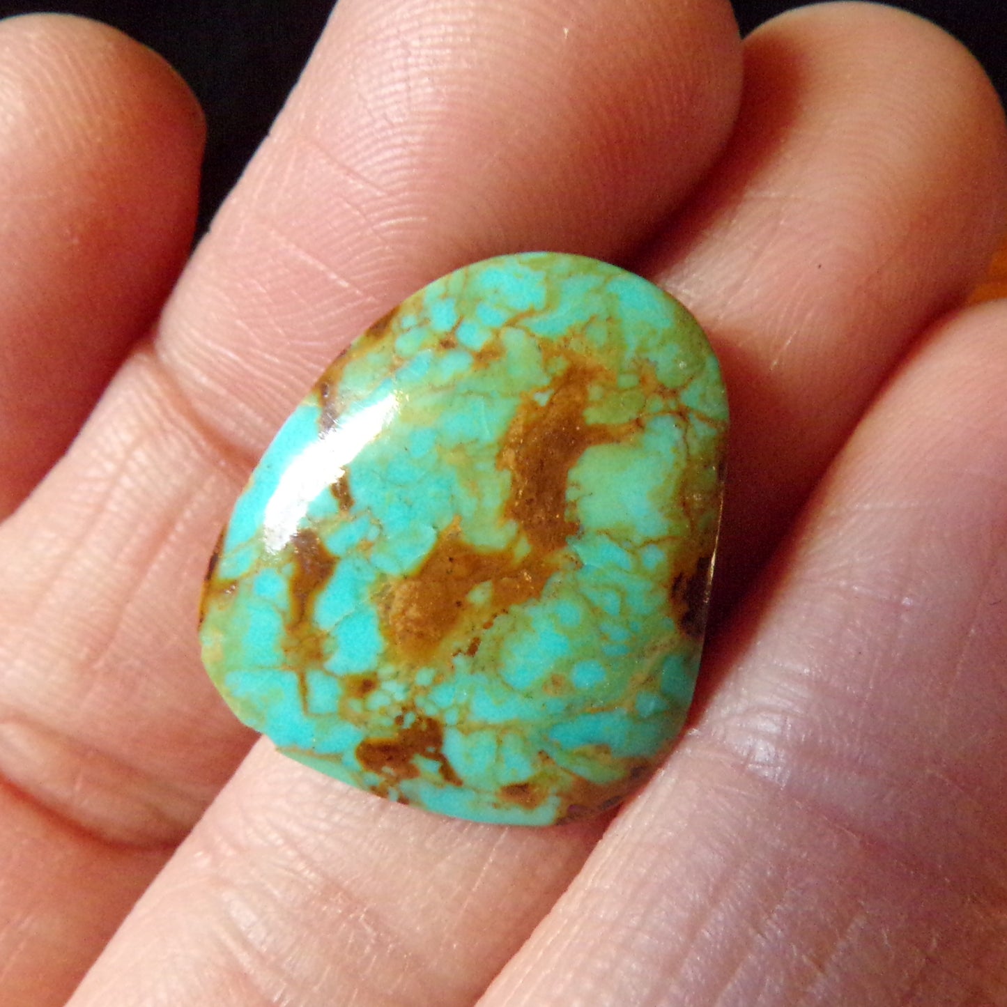 Turquoise Mountain Cabochon