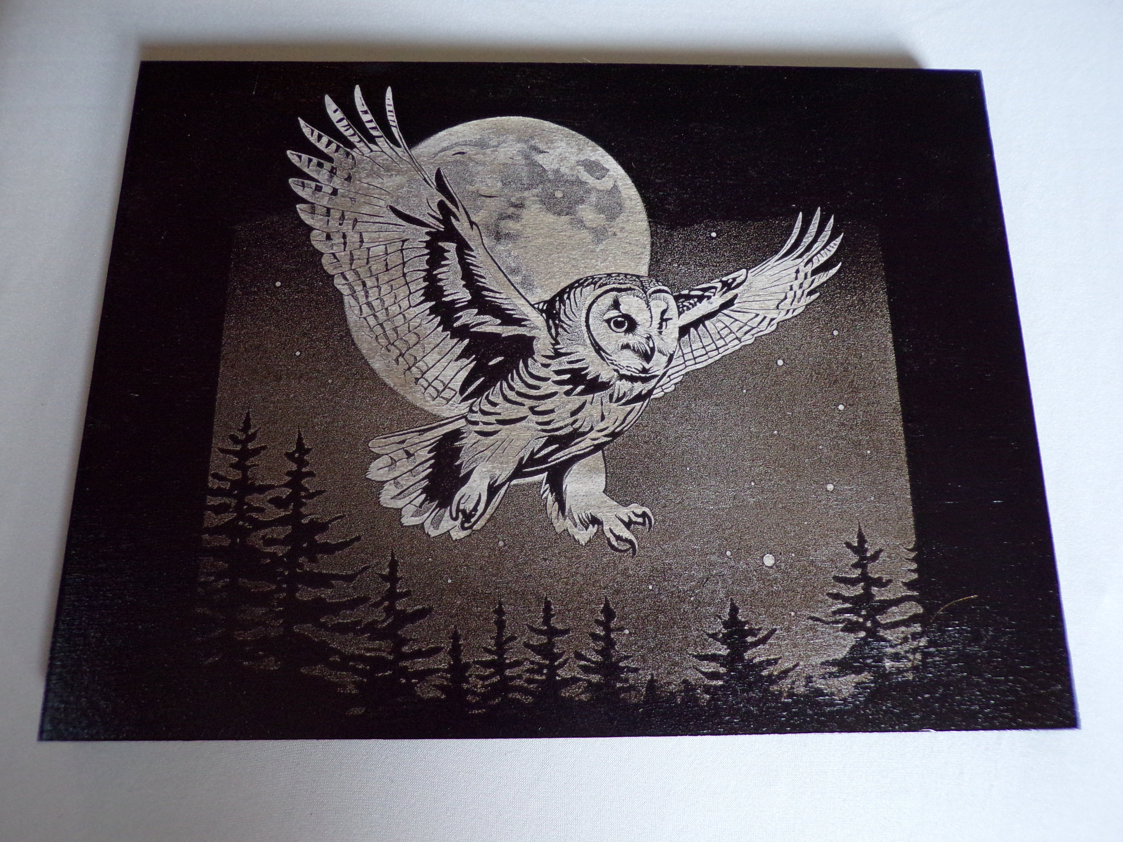 Flying Owl