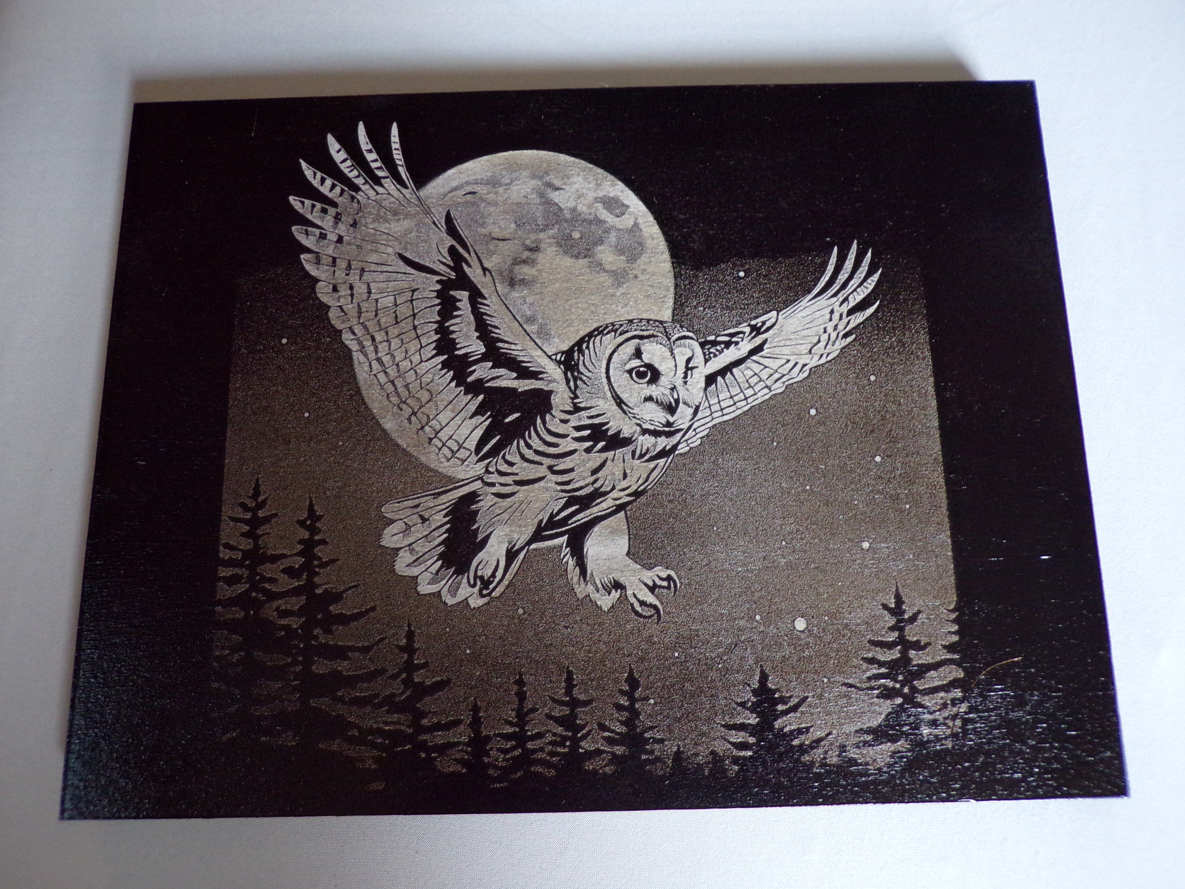 Flying Owl