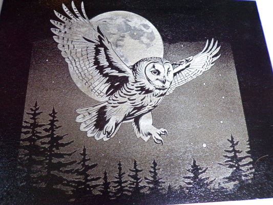 Flying Owl