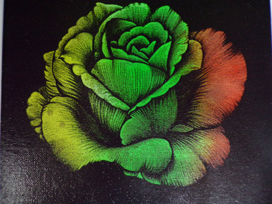 Fluorescent Rose