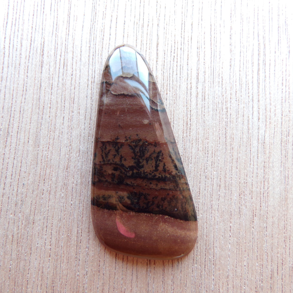 Natural Deschutes Jasper Cabochon