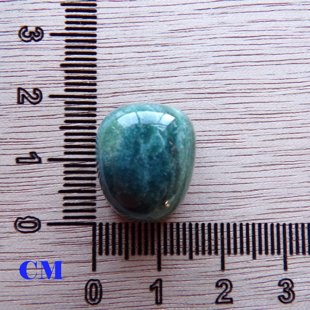 Bloodstone Cabochon — 21.1 ct