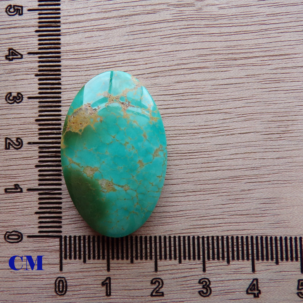 Two Tone Turquoise Cabochon